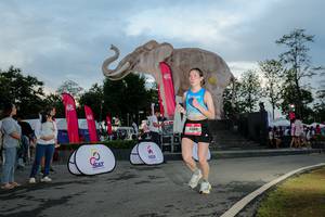 BIB: 
                            <button type="button" onclick="openModal(26529414)" class="btn btn-primary btn-sm float-right btn-popup" data-toggle="modal" data-target=".modal-high-quality">
                        <i class="fas fa-shopping-cart"></i> Add to Cart
                    </button>
                                            <button type="button" onclick="isThisMe(26529414, true)" class="btn btn-success btn-sm float-right btn-popup btn-isme hidden" data-toggle="tooltip" data-placement="bottom" title="นี่คือรูปของคุณใช่ไหม คลิกที่นี่เพื่อเอาเข้าอัลบั้ม">
                        <i class="fas fa-plus"></i> Add to album
                    </button>
                    <button type="button" onclick="isThisMe(26529414, false)" class="btn btn-warning btn-sm float-right btn-popup btn-isnotme hidden">
                        <i class="fas fa-ban"></i> Remove from album
                    </button>